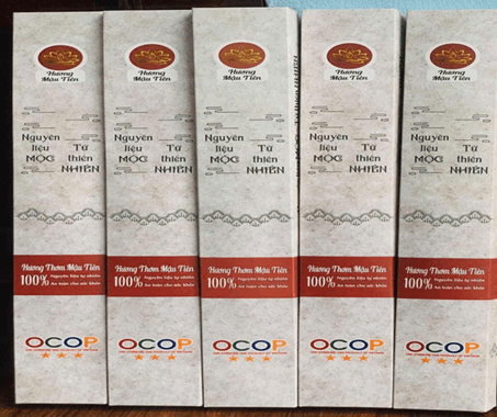OCOP - Hương thơm Mậu Tiên - hộp 100 que