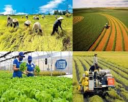Dịch vụ tư vấn xây dựng đề án phát triển nông – lâm nghiệp